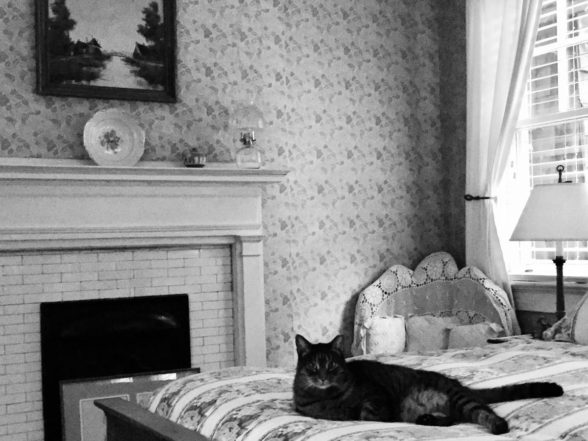 Inman Park Bed And Breakfast Atlanta Luaran gambar